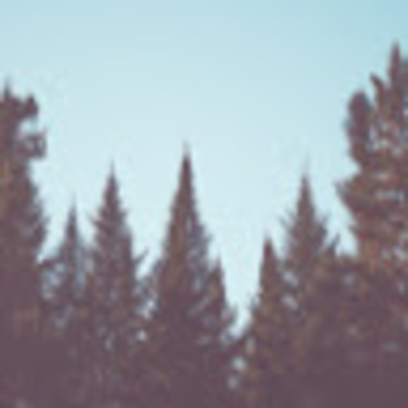 Meet your Posher, Jason - Picture 1 of 1